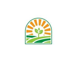 la nature agriculture champ logo conception avec Soleil symbole vecteur illustration.