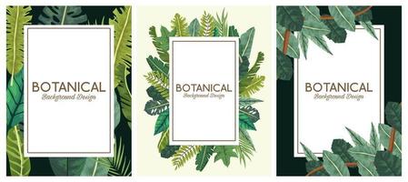 feuilles tropicales dans des cadres et des lettrages dessins d'arrière-plans botaniques vecteur