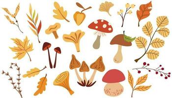 l'automne feuilles, champignons et baies. ensemble de différent champignons, mouche agaric, blanc, champignons, baies, érable feuilles, glands, sec herbes. vecteur illustration