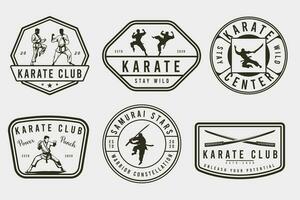 ensemble de ancien karaté ou martial les arts logo, emblèmes, Icônes, et Étiquettes. monochrome style. rétro karaté club badges ensemble silhouette. vecteur