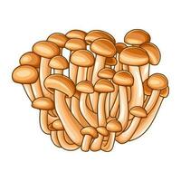 consommable champignon collections vecteur