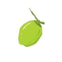 illustration de vecteur de dessin animé de fruits de noix de coco