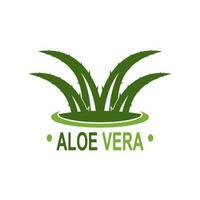 aloès Vera logo illustration modèle conception vecteur