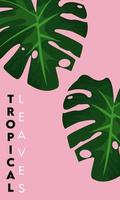 affiche de lettrage de feuilles tropicales avec des feuilles sur fond rose vecteur