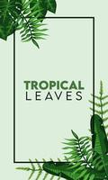 affiche de lettrage de feuilles tropicales avec des feuilles dans un cadre carré vecteur