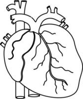 Humain cœur image dans accident vasculaire cérébral style pour Humain corps. vecteur