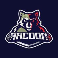 logo de mascotte de raton laveur vecteur