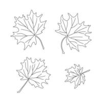 feuilles Facile vecteur minimaliste concept contour illustration, mince ligne main tiré Naturel floral éléments ensemble, élément pour faire-part, salutation cartes, brochure desi
