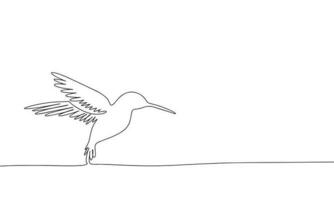 colibri isolé sur blanc Contexte. un ligne continu vecteur illustration. ligne art, contour.