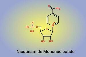 nicotinamide mononucléotide molécule précurseur de nad plus chimique squelettique formule. vecteur