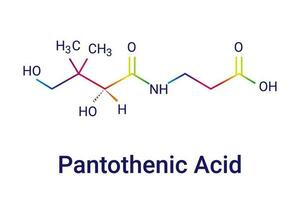 vitamine b5 pantothénique acide, pantothénate molécule chimique squelettique formule. vecteur illustration.