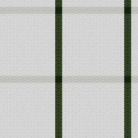 tartan sans couture modèle. tartan plaid vecteur sans couture modèle. pour foulard, robe, jupe, autre moderne printemps l'automne hiver mode textile conception.