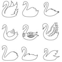 cygne vecteur icône ensemble. oiseau illustration signe collection. étang symbole ou logo.