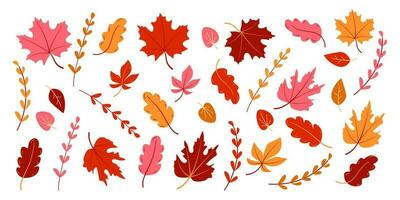 grand ensemble de feuilles et branches dans l'automne couleurs. rose, marron et Jaune vecteur