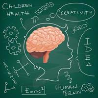 concept d'anatomie du cerveau et de créativité vecteur