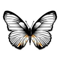 dubitatif de beauvais papillon de Afrique vecteur