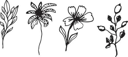 minimalisme vecteur branches. graphique feuilles pour tatouages, invitations. noir et blanc feuilles. ensemble ligne art. vecteur illustration fleurs.