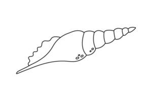 coquillage plat vecteur dessin animé illustration sur blanc Contexte