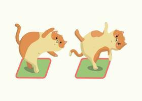 ensemble de bonne humeur chatons faire des exercices. chats, des sports, yoga. des exercices, yoga postures. une en bonne santé façon de vie. marrant dessin animé chatons. vecteur illustration sur blanc isolé Contexte.