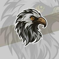 Aigle ou faucon tête mascotte graphique jeu logo élégant élément pour marque Aigle abstrait symboles vecteur