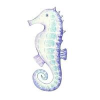 hippocampe dans violet et turquoise couleurs, aquarelle illustration vecteur