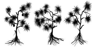 pandanus tectorius communément appelé vis pin, tropical arbre silhouette vecteur