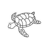 main tiré des gamins dessin dessin animé mignonne mer tortue vecteur illustration isolé sur blanc Contexte
