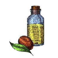 jojoba pétrole bouteille esquisser main tiré vecteur