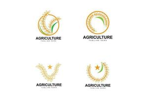 riz logo, ferme blé logo conception, vecteur blé riz icône modèle illustration