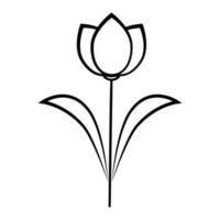 tulipe fleur ligne icône. tulipe fleurit icône sur blanc Contexte. vecteur