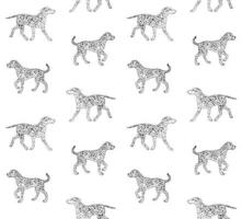 vecteur sans couture modèle de main tiré esquisser dalmatien chien isolé sur blanc Contexte