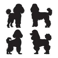 ensemble de caniche silhouette personnages avec vecteur illustration