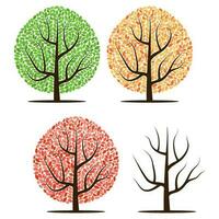 quatre des arbres avec vert, rouge, Jaune feuilles et sans pour autant feuilles. vecteur illustration isolé sur une blanc Contexte