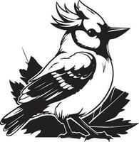 oiseau noir et blanc, vecteur modèle ensemble pour Coupe et impression