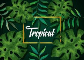 fond de feuilles tropicales naturelles vecteur