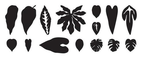 collection de silhouette feuille éléments. ensemble de tropical végétaux, feuille bifurquer, palmier, monstera feuilles, feuillage. main tiré de botanique vecteurs pour décor, site Internet, graphique, décoratif. vecteur