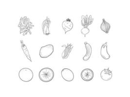 des fruits et des légumes ensemble vecteur illustration pour nourriture industrie