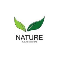 feuille écologie nature élément vecteur