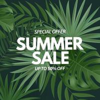 affiche de vente d'été. fond naturel avec des feuilles de palmier tropical vecteur