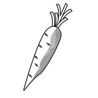 icône isolée dessinée de légumes carottes fraîches vecteur