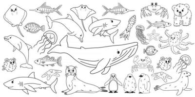 grand ensemble vecteur dessin animé contour isolé mer océan nord animaux griffonnage baleine dauphin requin galuchat méduse poisson crabe roi manchot poussin poulpe phoque à fourrure ours polaire pour livre de coloriage