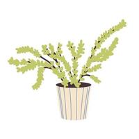 plante d'intérieur dans un pot en céramique beige plante d'intérieur décorative. fleur d'intérieur tropicale. fleur d'intérieur isolé sur fond blanc. illustration vectorielle plane. illustration vectorielle vecteur