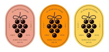 vigne étiquette bouteille grain de raisin plat style isolé vecteur