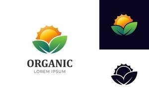Soleil monter feuille logo icône conception pour alternative énergie concept. éco biologique vert ferme Naturel Frais des produits vecteur
