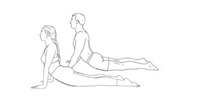 yoga cobra pose ou bhujangasana. femme et homme pratiquant renforcement yoga pose. main tiré vecteur illustration