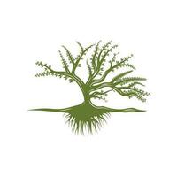 racine feuille famille arbre de la vie chêne banian érable timbre joint emblème étiquette logo vecteur