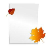 blanc feuille de a4 papier, avec espace pour texte, pour votre conception. suivant à le l'automne érable feuille, l'automne feuilles, le concept de septembre 1, retour à école, connaissance jour, le début de apprentissage vecteur