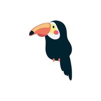 personnage animal mignon oiseau toucan vecteur