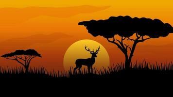 faune paysage vecteur illustration. faune Afrique savane de girafe avec africain arbre et le coucher du soleil ciel. faune silhouette paysage pour arrière-plan, fond d'écran, afficher ou atterrissage page