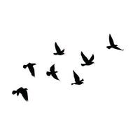 papier peint à motif de silhouettes d'oiseaux volants. illustration vectorielle. oiseau isolé qui vole. conception de tatouage. modèle pour carte, emballage et papier peint. vecteur